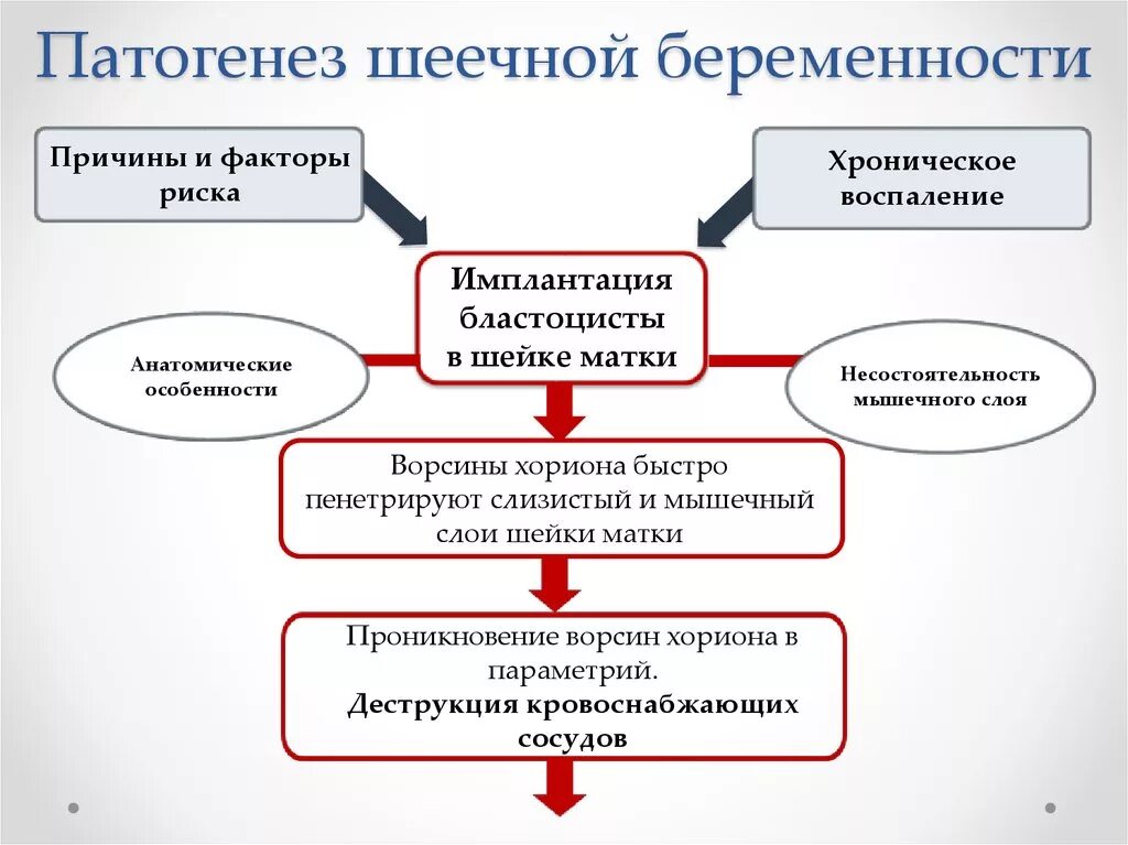 Риск внематочной беременности. Патогенез внематочной беременности. Эктопическая беременность этиология. Этиология внематочной беременности. Эктопическая беременность патогенез.