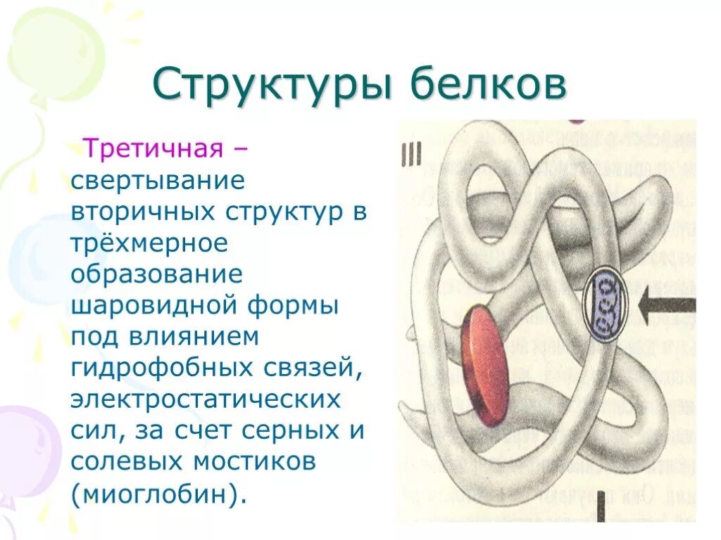 Пример первичного белка. Первичная вторичная и третичная структура белков кратко. Третичная структура белка форма молекулы. Третичная структура белка функции. Белок первичная структура вторичная третичная.