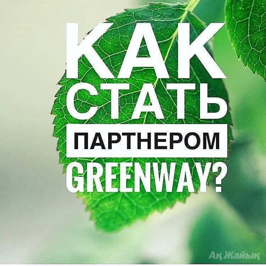 Гринвей. Компания Гринвей. Логотип компании Гринвей. Гринвей бизнес. Greenway картинки