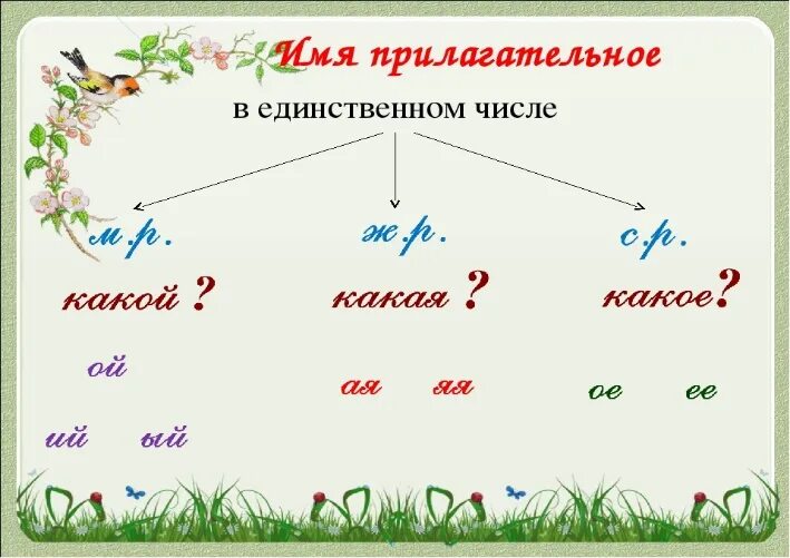 Алгоритм определения рода прилагательных 3 класс. Имя прилагательное по родам. Род имён прилагательных 3 класс. Имя прилагательное в единственном числе. Множественное число имен прилагательных 4 класс карточки