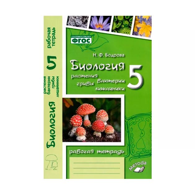 Бодрова биология 9 класс рабочая. Растение гриб бактерия биология. Биология 5 класс. Биология. Растения. Бактерии. Грибы. Лишайники. 6 Класс. Биология растения бактерии грибы лишайники.