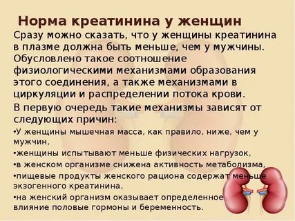 Причины высокого креатинина мочевины