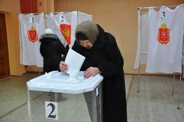 Выборы в Ясногорске Тульской области. Явка на выборы в Тульской области. Выборы в Щекино. Явка на выборах районы Тульской обл. Явка на прошлых президентских