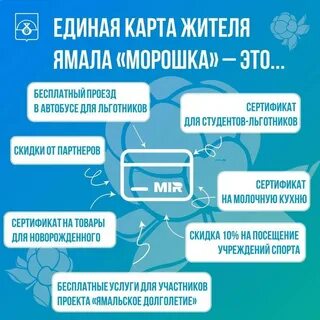 Авиакомпания ямал морошка