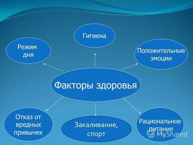 Гигиенические спортсменов. Личная гигиена спортсмена. Правила личной гигиены спортсмена. Режим дня и гигиена спортсмена. Личная гигиена факторы.