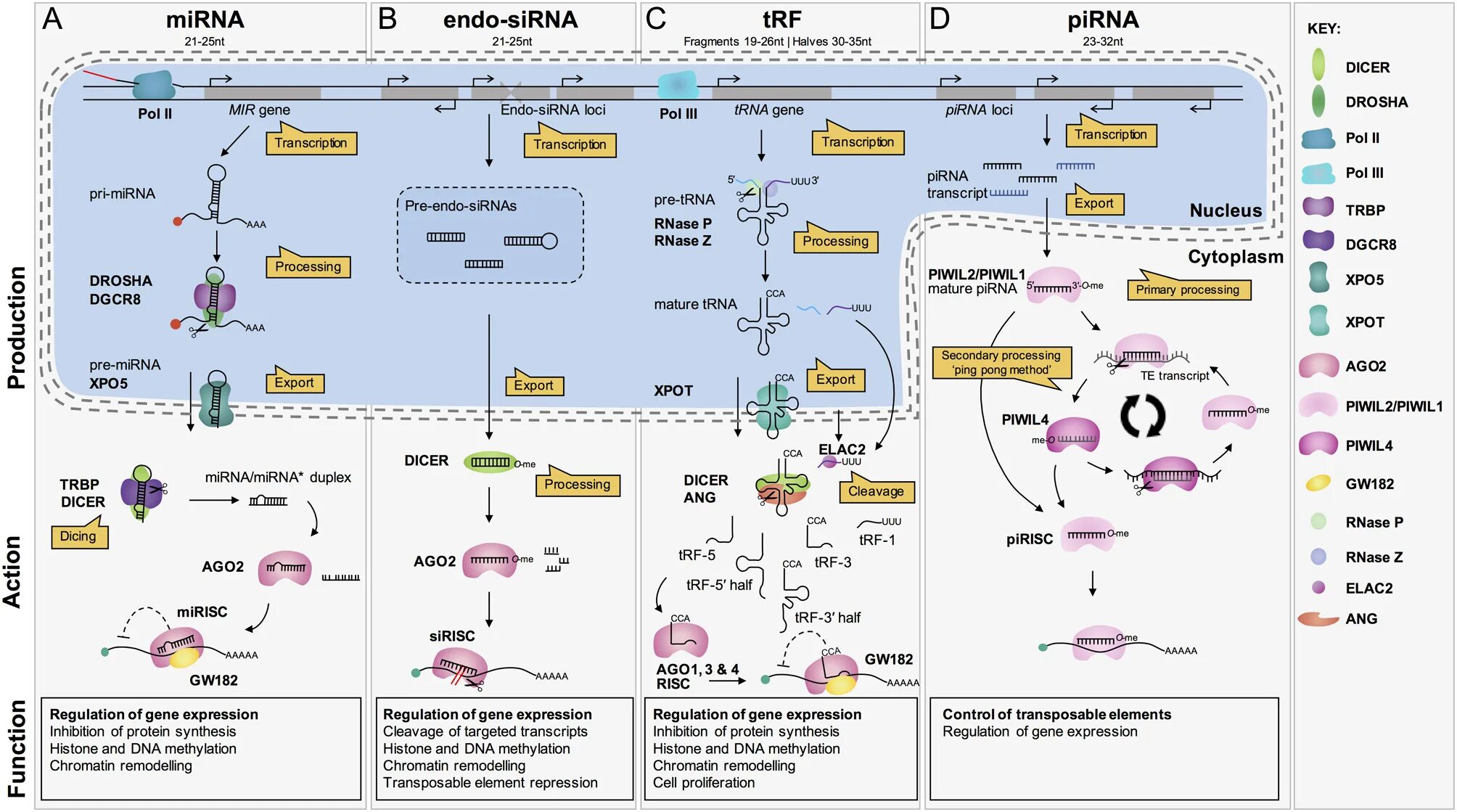 Ten seconds 1996 ten seconds. Heavy weapons guy. Ago2. Second ago. Second ago.