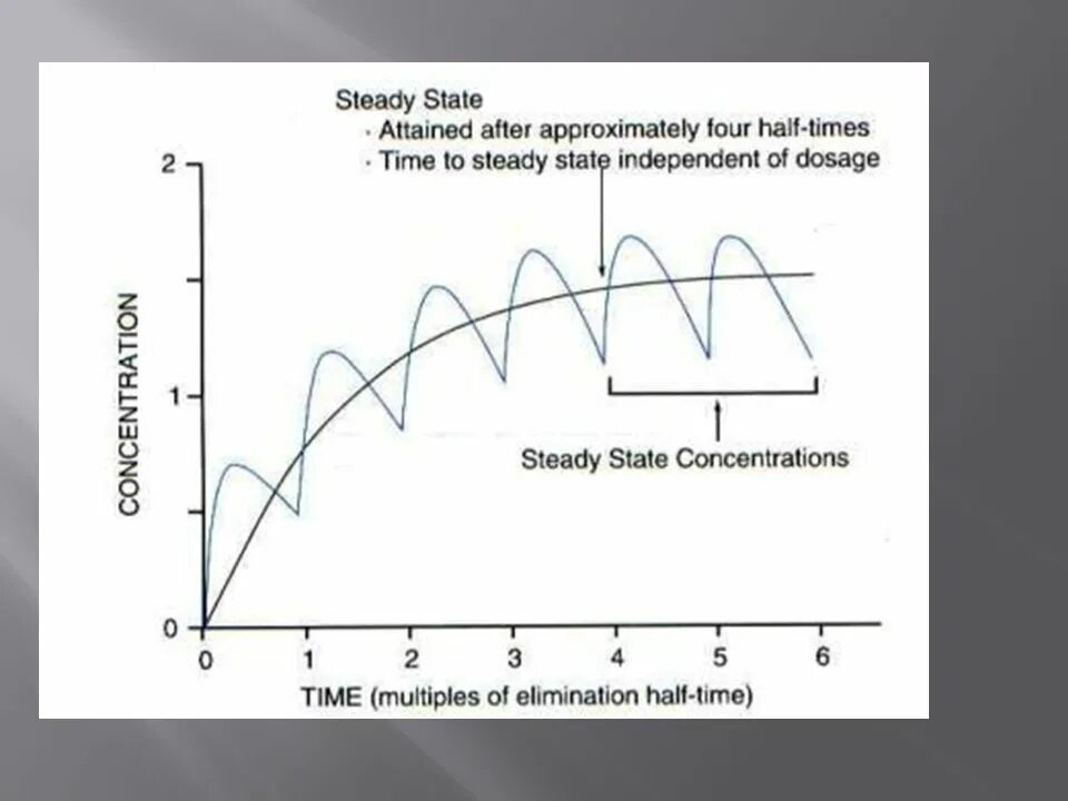 Steady State Solver. E steady State vector. Steady State process graph. Steady State inactivation curve.