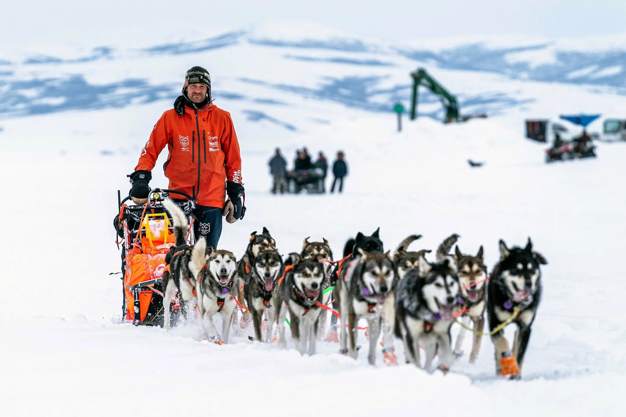 События в аляске. Аляска Айдитарод. Iditarod Trail Sled Dog Race. Аляска собачьи упряжки. Ездовые собаки на Аляске.