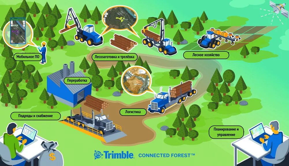 Информационные технологии в Лесном хозяйстве. Цифровые технологии в Лесной промышленности. Цифровые технологии в Лесном хозяйстве. Схема лесозаготовительного производства.