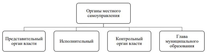 Система органов муниципального управления. Структура органов местного самоуправления. Органы исполнительной власти местного самоуправления. Структура представительного органа мсу. Структура исполнительных органов местного самоуправления.