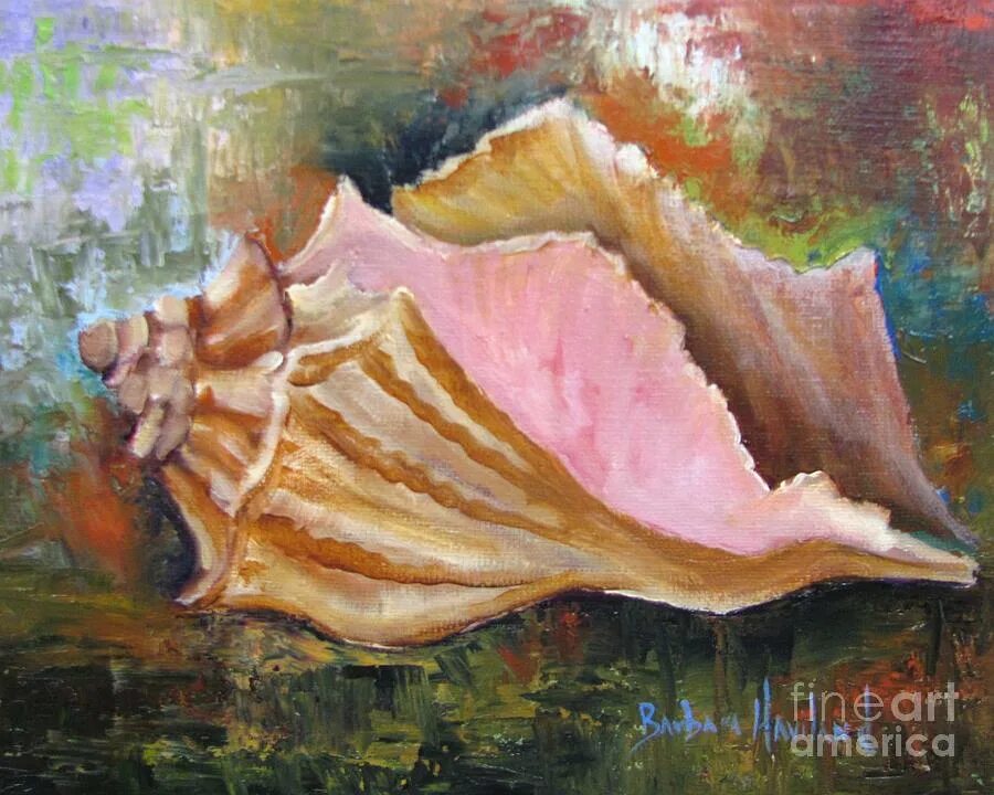 Морские раковины в живописи. Ракушка масло. Danhui nai художник. Ракушка масло. Морская раковина.