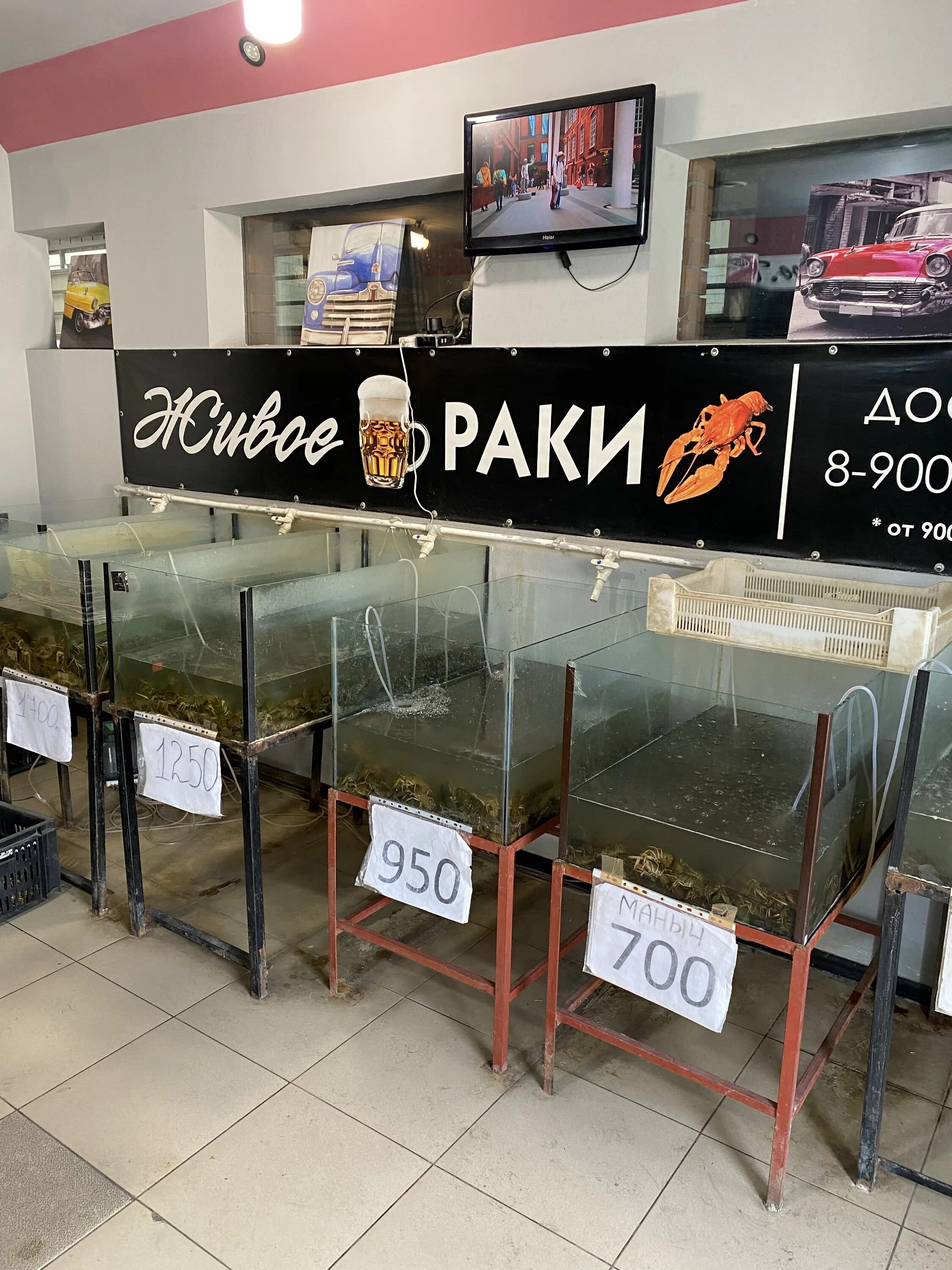 раки батайск