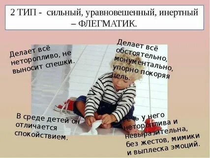 Флегматик сильный уравновешенный инертный