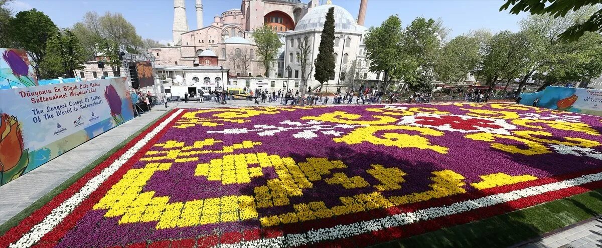 Праздники в стамбуле 2024. Фестиваль тюльпанов в Стамбуле 2023. Фестиваль тюльпанов в Стамбуле 2021. Стамбул фестиваль тюльпанов Султанахмет. Фестиваль тюльпанов в Стамбуле 2022.