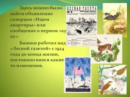Лесная газета читательский дневник