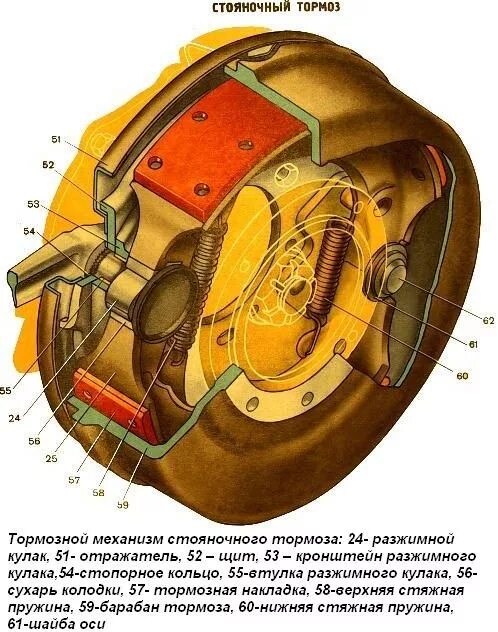 Тормозная автомобиля урал. Стояночный тормоз автомобиля Урал 4320. Тормозной механизм стояночного тормоза Урал 4320. Колодки стояночного тормоза Урал 4320. Тормозной механизм переднего колеса Урал 4320.