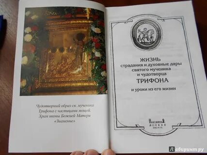 5 даров жизни