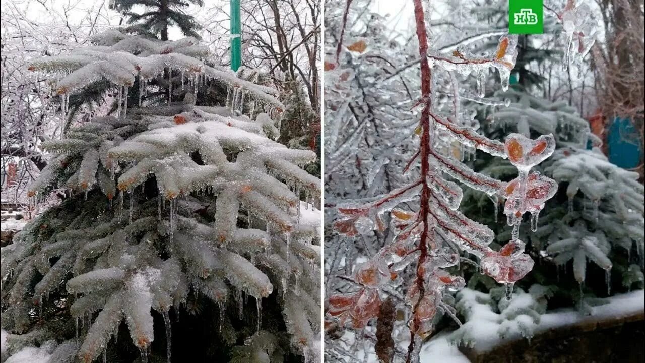 Ледяной дождь в Приморье. Ледяной дождь Владивосток. Ледяной дождь во Владивостоке 2020. Владивосток после ледяного дождя. Несмотря на обледенение дороги впр