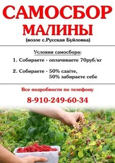 Расписание ягодный