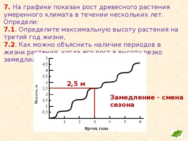 Определите максимальную. Определите максимальную