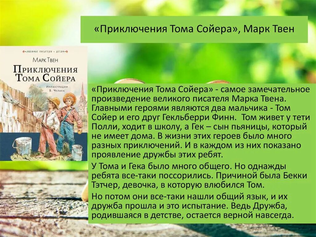 Суть книги приключения тома сойера. Рассказ про Тома Сойера. Приключения Тома Сойера сообщение. Друг Тома Сойера. Доклад про Тома Сойера.