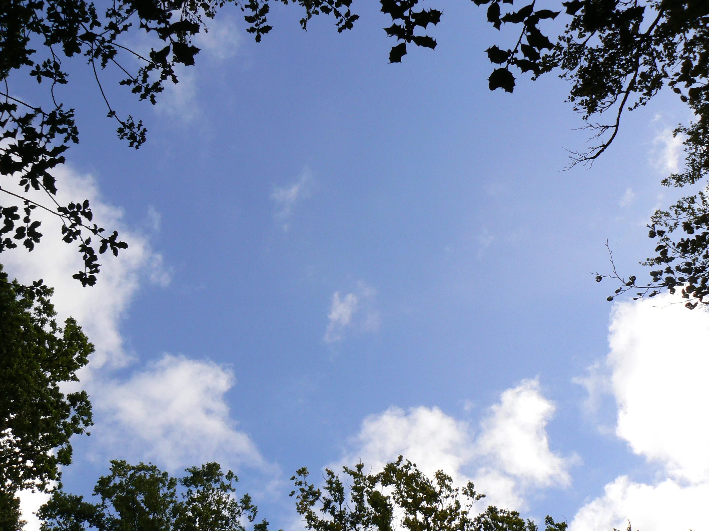 Free Images : cloud, sky, sunlight, daytime, cumulus, santafe, truchas, northern