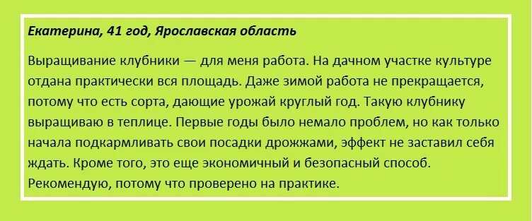 Дрожжи клубнике можно. Полить клубнику дрожжами. Удобрение клубники дрожжами. Дрожжевая подкормка для клубники. Как подкормить клубнику дрожжами.