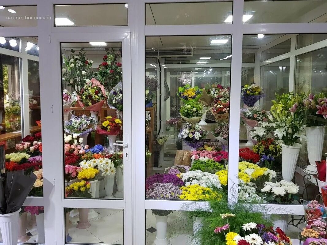 В цветочном павильоне было выставлено