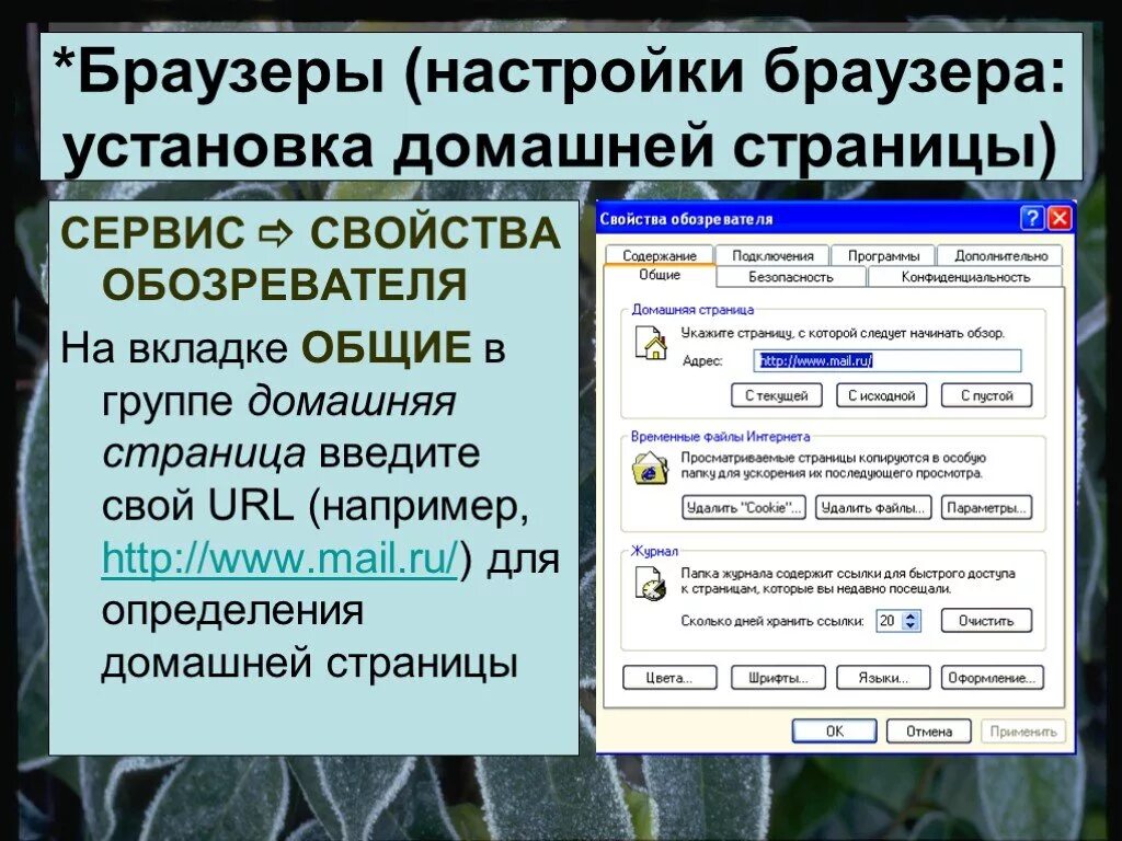 12 ссылки. Браузер настройки браузера. Домашняя страница браузера. Параметры браузера. Настройки обозревателя.