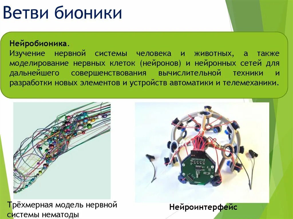 Бионика. Бионика примеры. Бионические изобретения. Бионика презентация. Центр бионика