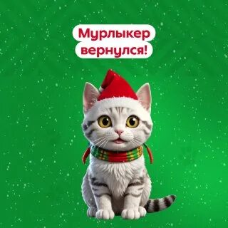 Мурлыкер кодовое слово