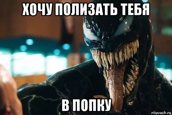 Новый мем про венома Pin by Prince Malicaster on Funny pics in 2022 Marvel venom, Venom comics, Venom