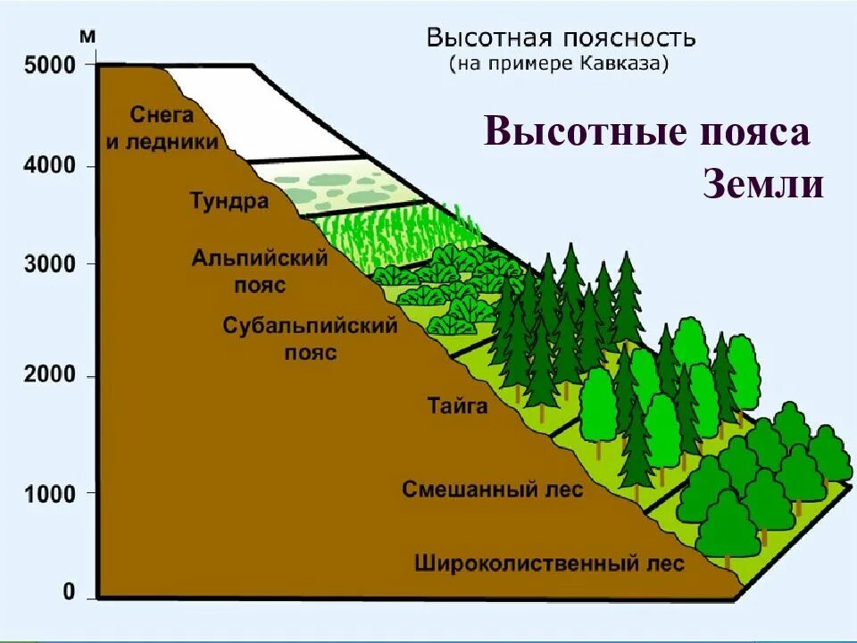 Факторы определяющие природную зональность