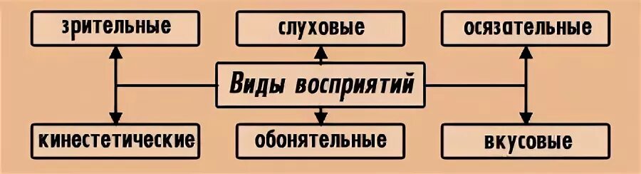 Зрительного осязательного обонятельного восприятия