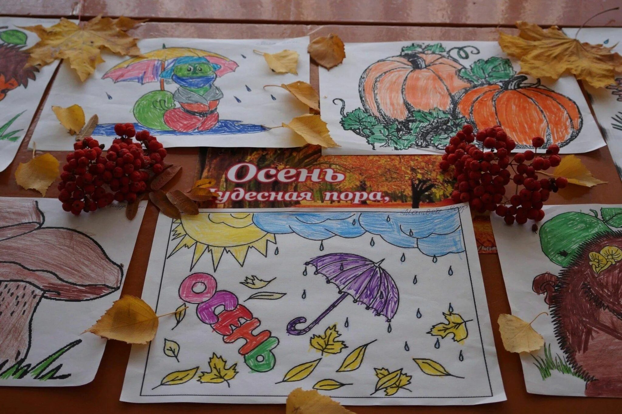 Конкурс осенних картин