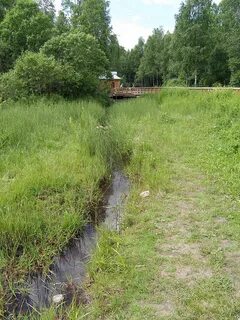 Исток реки начинается