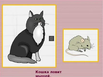 Кошка дает человеку