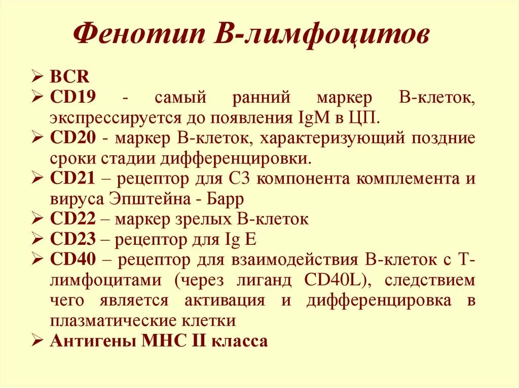 Сд лимфоциты. Фенотипы лимфоцитов. Фенотип в лимфоцитов иммунология. Фенотип b лимфоцитов. В лимфоциты и плазматические клетки фенотип.