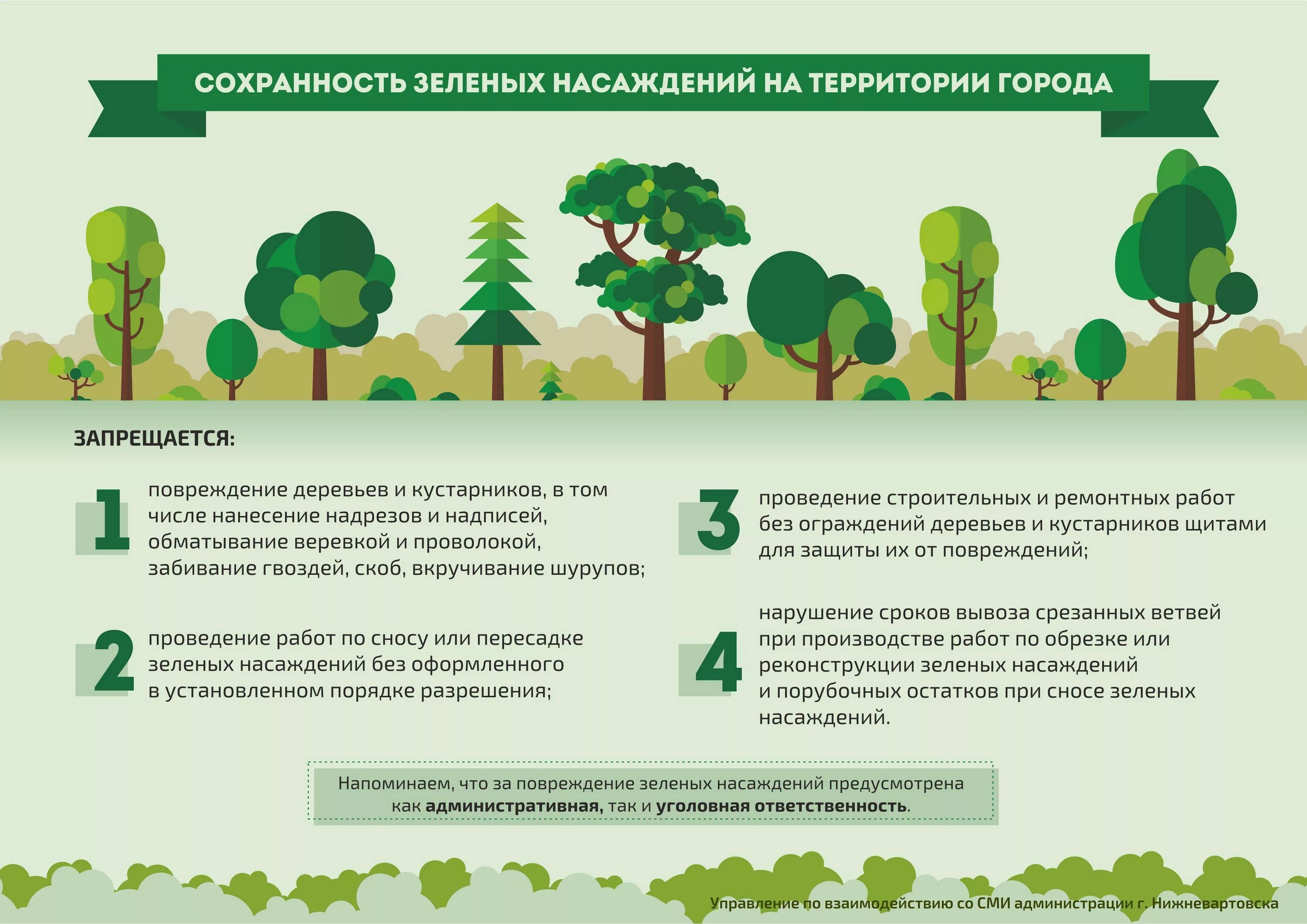 Санитарно-гигиенические функции зеленых насаждений. Охрана зеленых насаждений. Мероприятия по защите зеленых насаждений. Охрана насаждений зеленых территорий. Роль зеленых насаждений в городе