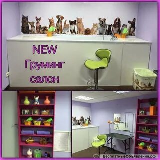 Зоосалон одинцово