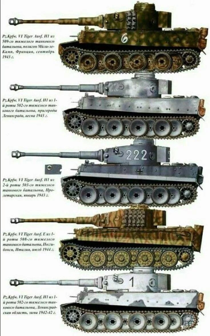 Название танка тигр. Немецкий танк тигр 1. Танк тигр 1942 года. Модификации танка тигр 1. Танк тигр немецкий 2 мировой.