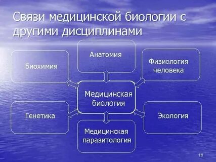 Методы структурной биологии 10