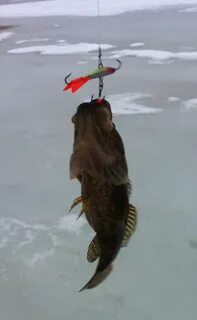 Мормышка на ротана