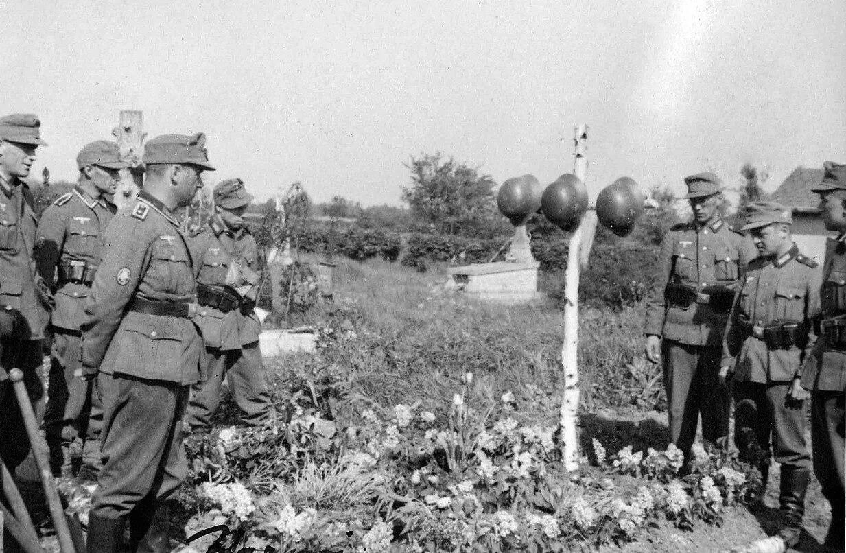 Эдельвейс егеря вермахта. Горные егеря вермахта Эдельвейс. Горные егеря вермахта в 1941. 137 Пехотная дивизия вермахта.