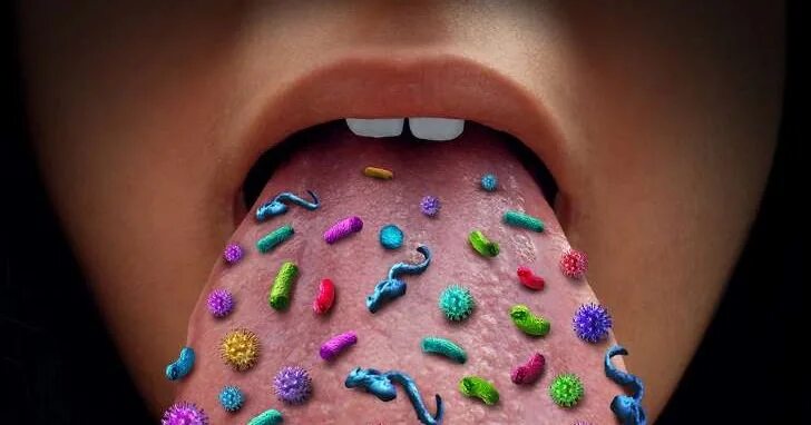 Сколько бактерий во рту