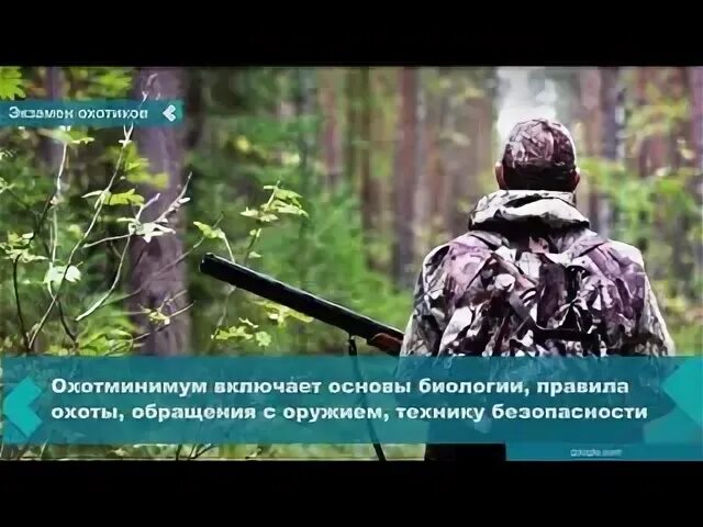 Охотничьей минимум для получения. Экзамен по охотминимуму и правилам охоты. охотминимум пмр. основы биологии диких животных охотминимум.