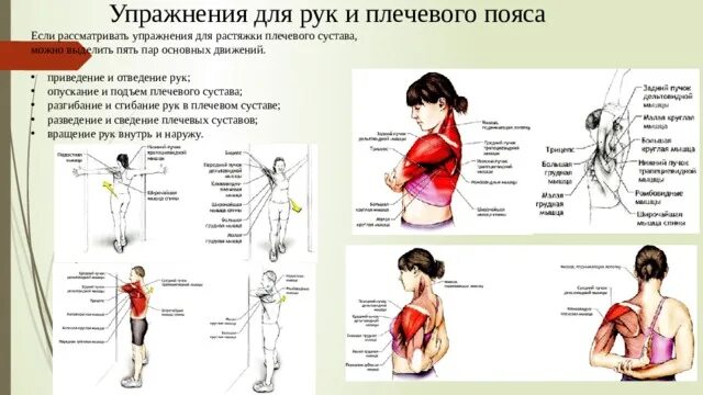Болит рука при поднятии. Растяжка мышц плечевого пояса. Растяжка плечевого сустава упражнения. Упражнения стретчинг плечевой пояс. Растяжка верхнего плечевого пояса.