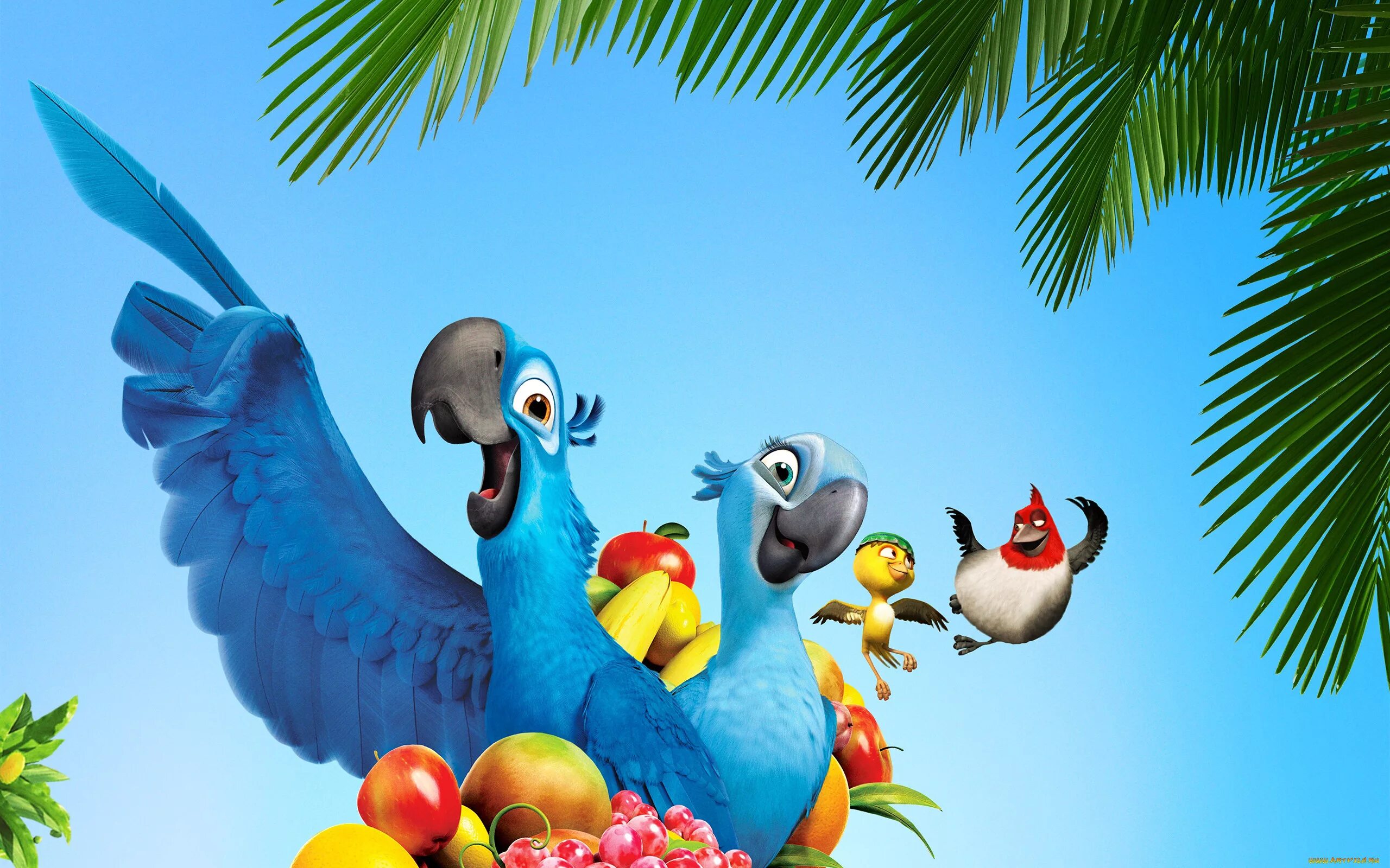 Rio 2. Rio p