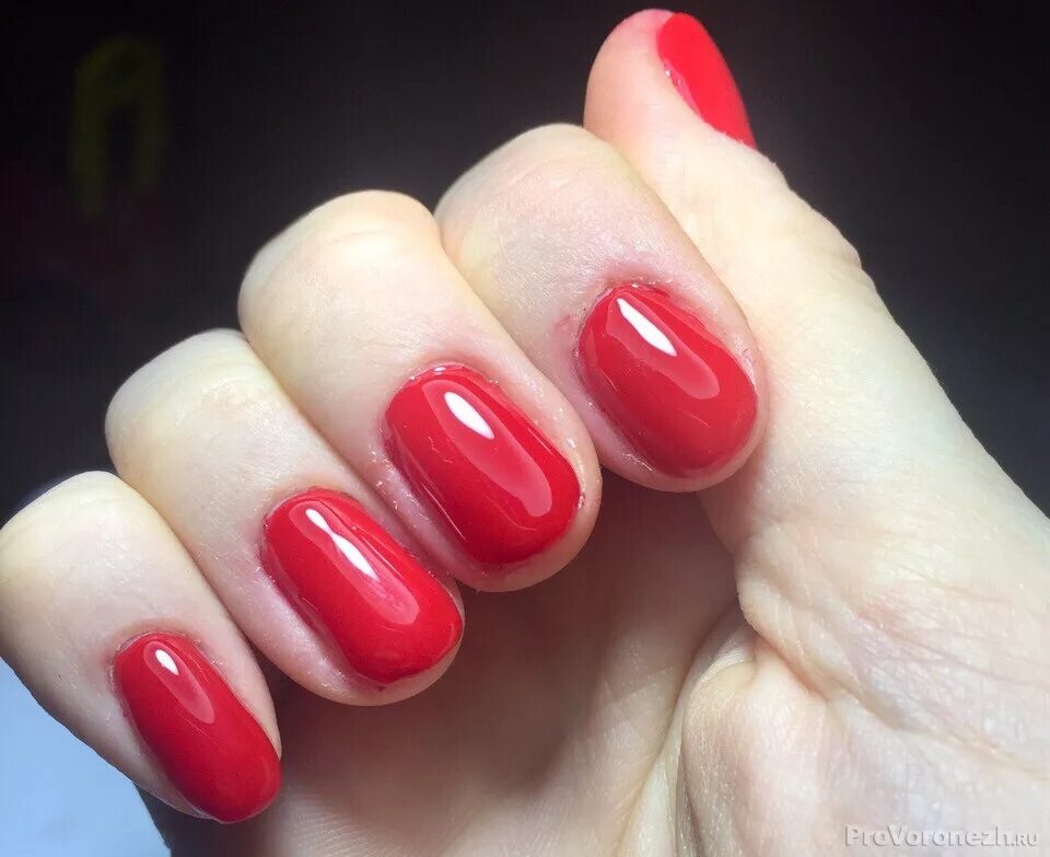 начинающий мастер маникюра. ногти маникюр начинающий мастер. работы начинающих мастеров маникюра. маникюр начинающего мастера. начинающий мастер маникюра.