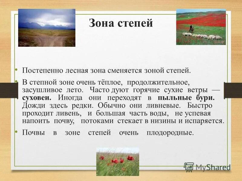 Степная зона сообщение. Занимаемая территория степей. Зона лесов зона степей. Зона степей сообщение большое. Зона степь доклад лес.